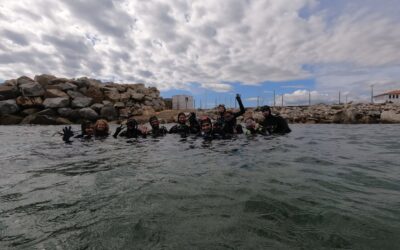 OPEN WATER DIVER 260