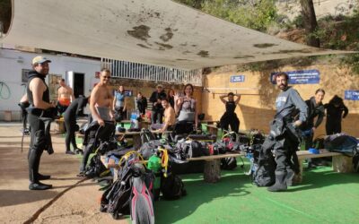 SEMINARIS DE BIOLOGIA MARINA