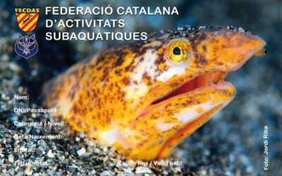 LLICÈNCIA FEDERATIVA: aficionat i tècnic