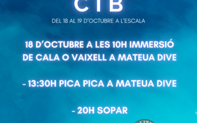 FESTA CIB 2025