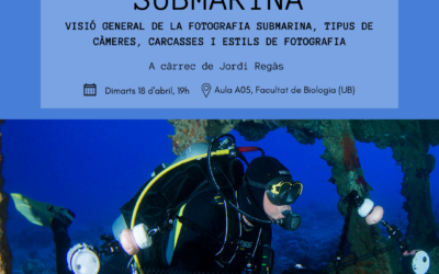 FOTOGRAFIA SUBMARINA
