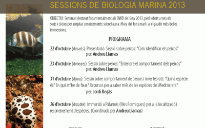Sessions de Biologia Marina – OWD 2013