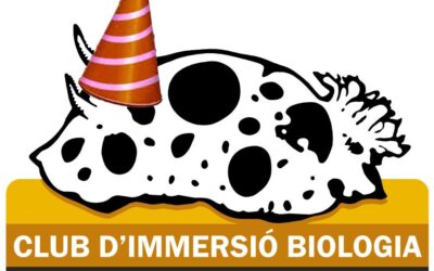 FESTA CIB 2018