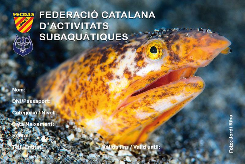 federativa 2017 anvers web