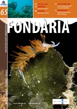 Fondària 65