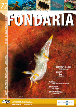 Fondària 72