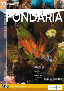 Fondària 77