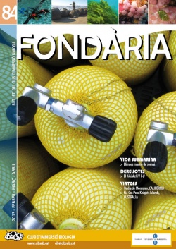 Fondària 84