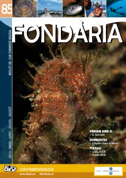 Fondària 85