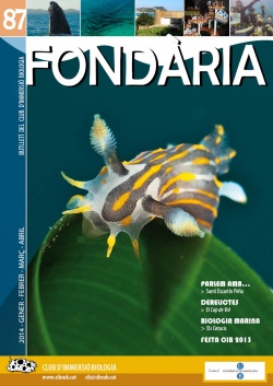 Fondaria 87
