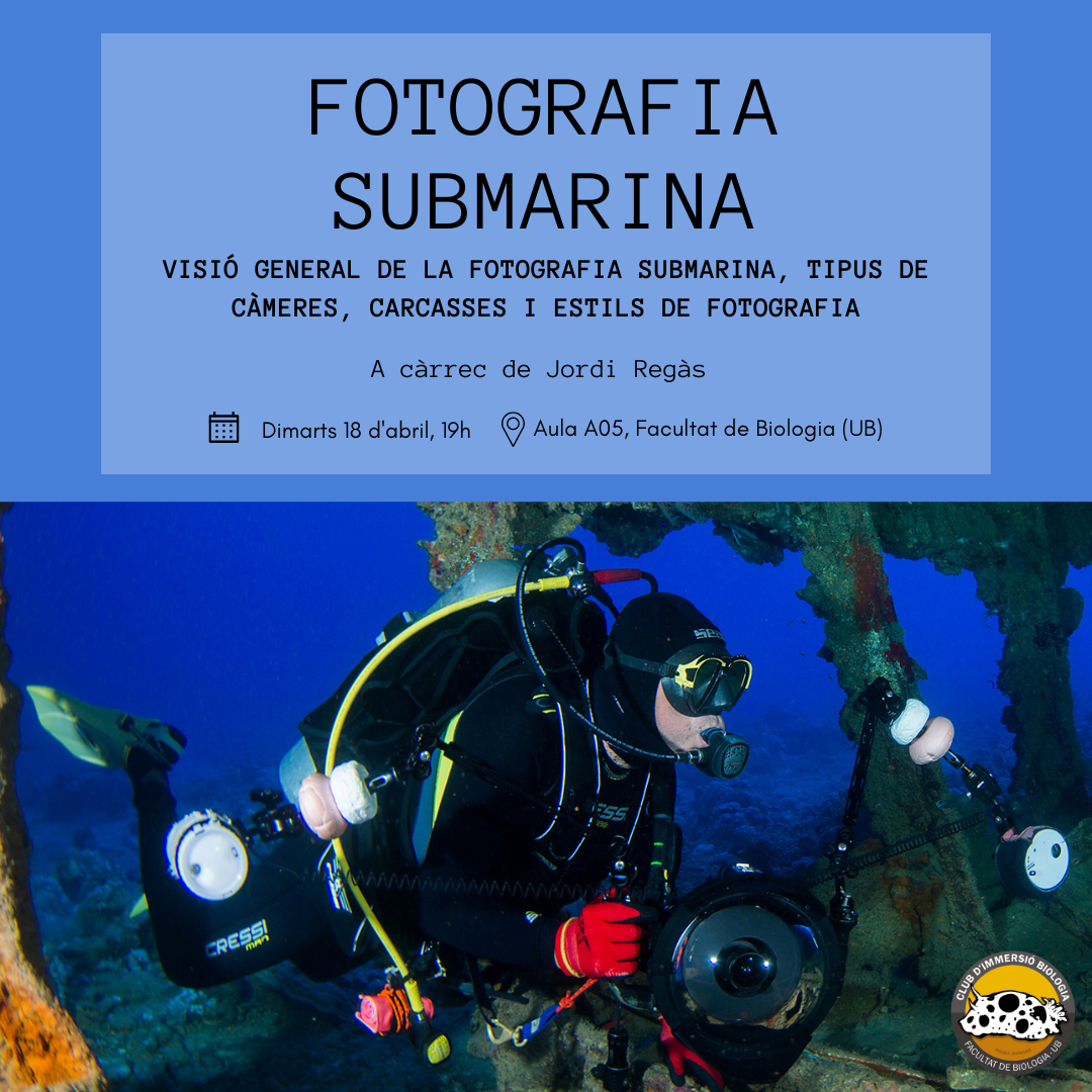 fotosub insta 4
