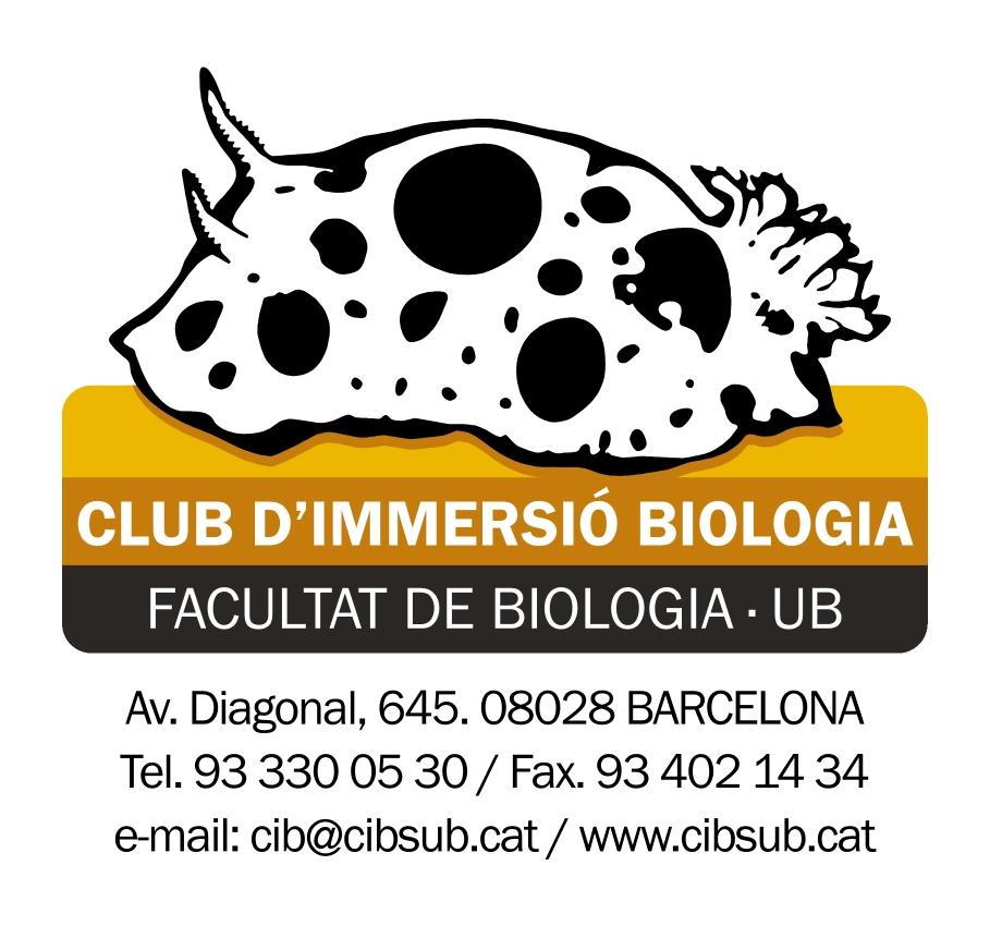 logo complet color