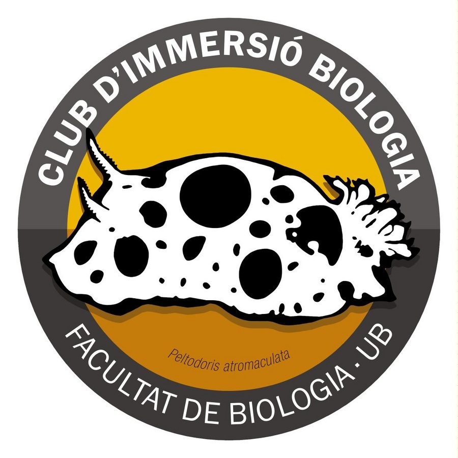 3 crèdits de Llicenciatura