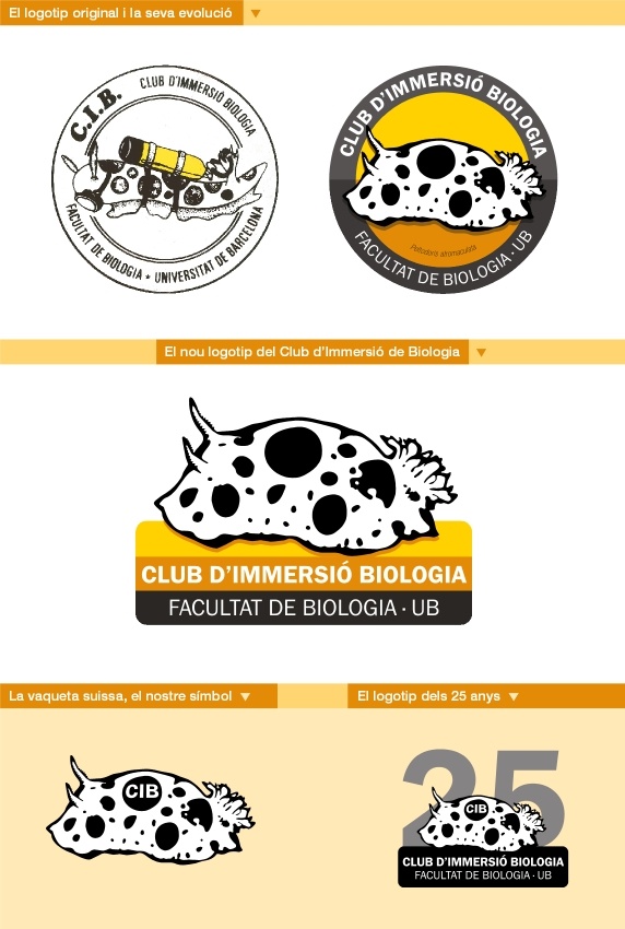 L'evolució des de la primera vaqueta suïssa