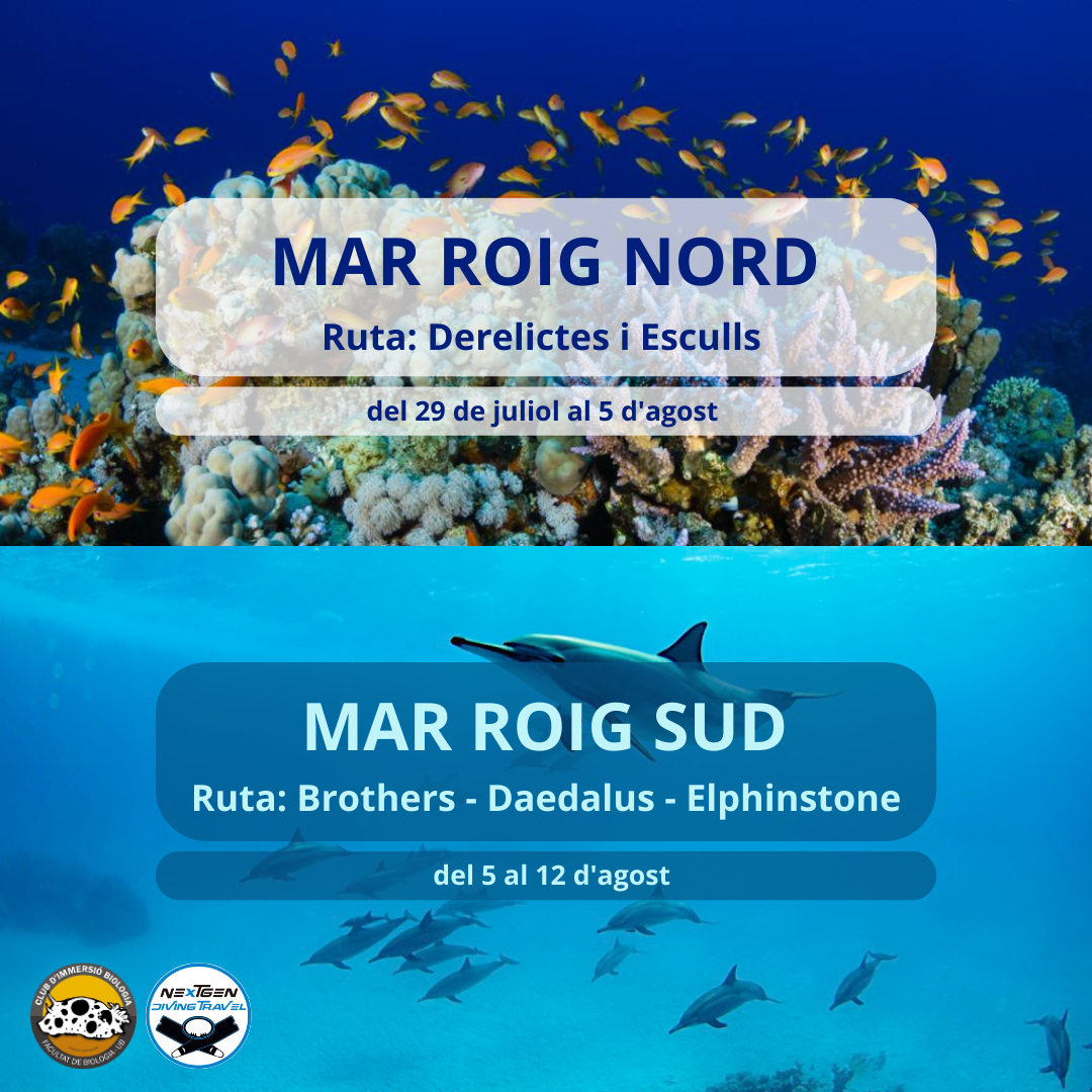 nord o sud