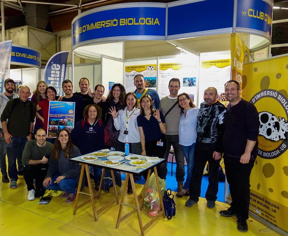salo immersio 2019
