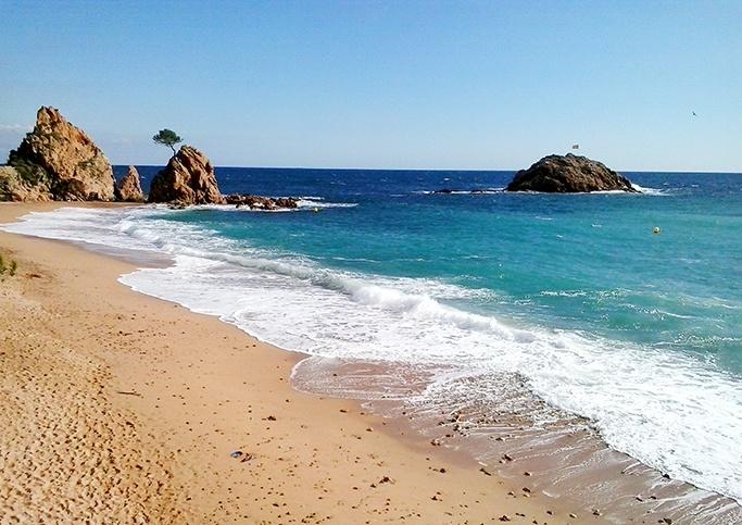 Un mar "mogudet"